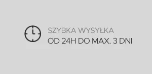 dostawa i szybka wysyłka